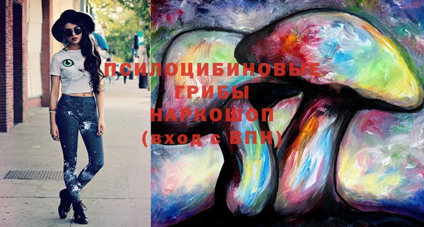 spice Зеленодольск