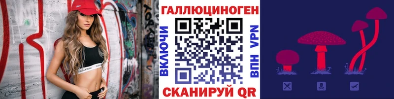 Купить где  Грайворон  Псилоцибиновые грибы Magic Shrooms 